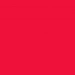 Rose fushia