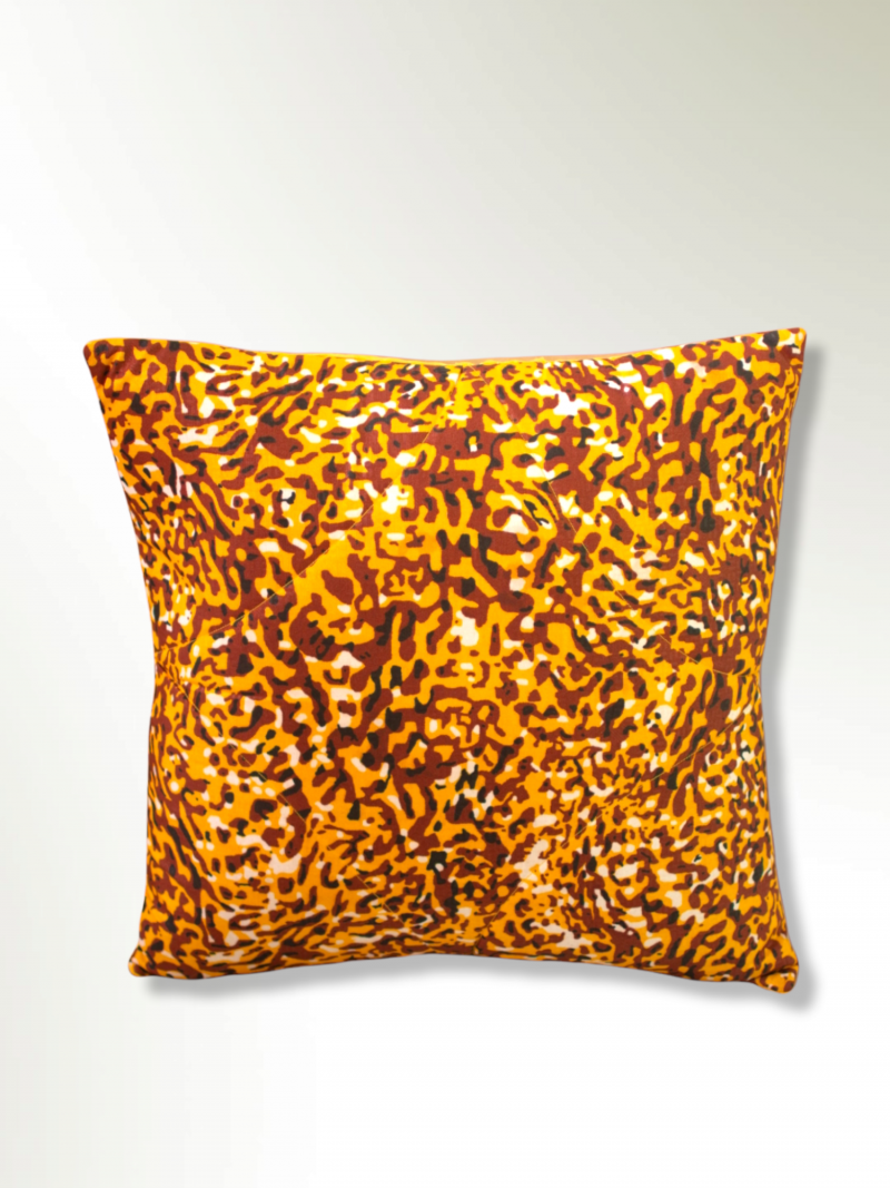 PhotoRoom-20220315_114057 PhotoRoom-20220315_114057